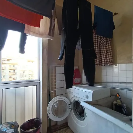 Pet Homestay Amadora